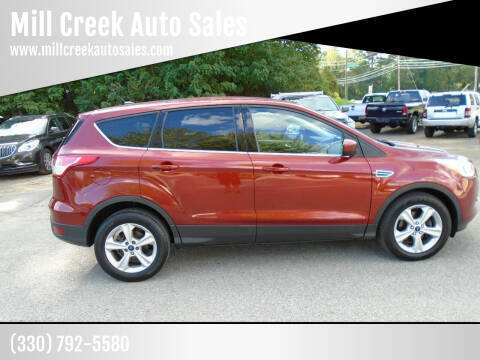 2014 Ford Escape for sale at Mill Creek Auto Sales in Youngstown OH