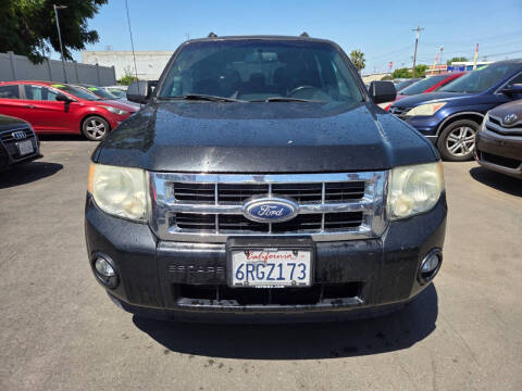 2011 Ford Escape XLT