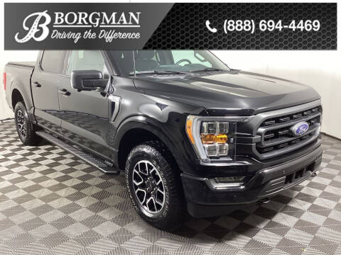 2021 Ford F-150 for sale at BORGMAN OF HOLLAND LLC in Holland MI