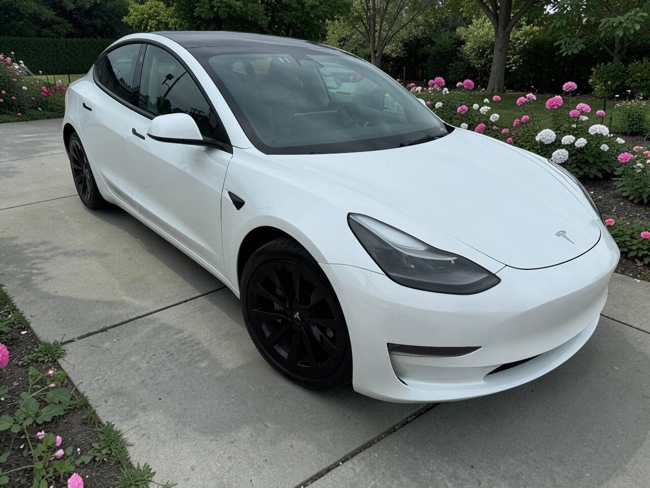 2022 Tesla Model 3 Long Range Dual Motor All-Wheel Drive's photo