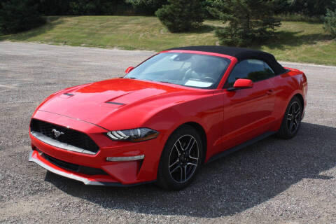 2023 Ford Mustang EcoBoost