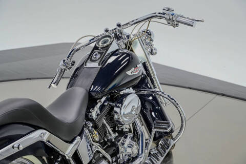 2009 Harley-Davidson FLTSN