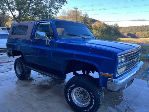 1989 Chevrolet Blazer for sale at Classic Car Deals in Cadillac MI