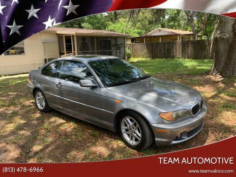 2004 BMW 3 Series for sale at TEAM AUTOMOTIVE in Valrico FL