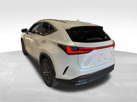 2025 Lexus NX 250 Premium