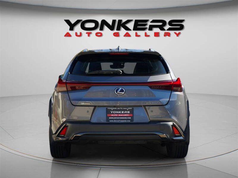 2020 Lexus UX 250h F SPORT