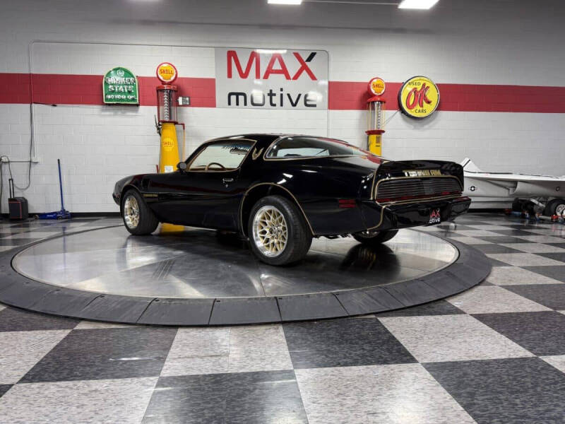 1981 Pontiac Firebird Trans Am