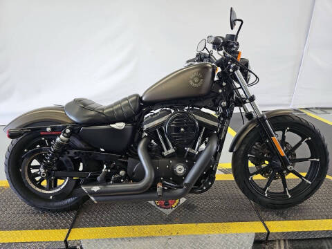 2021 Harley-Davidson XL883N Iron 883 for sale at IMAGINE CARS and MOTORCYCLES in Orlando FL