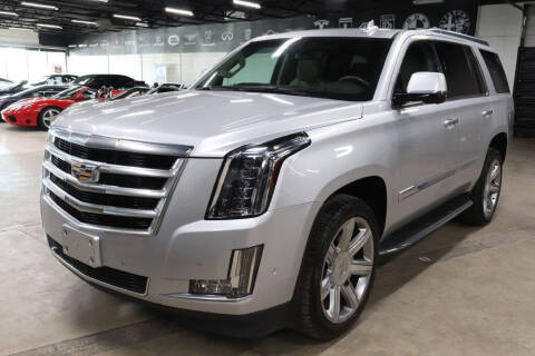 2017 Cadillac Escalade for sale at Discovery Auto Tampa in Tampa FL