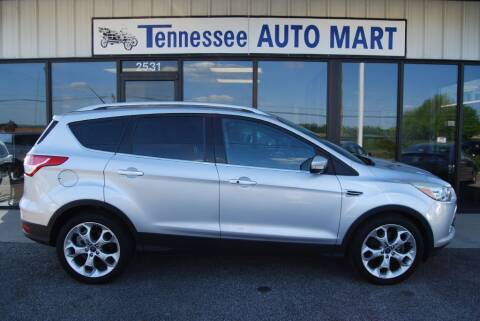 2014 Ford Escape for sale at Tennessee Auto Mart Columbia in Columbia TN