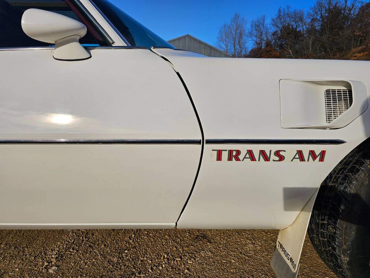 1976 Pontiac Trans Am 106