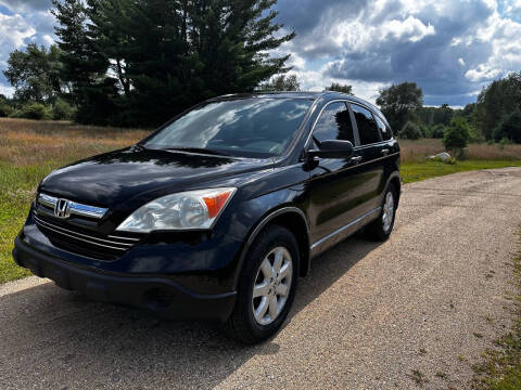 2009 Honda CR-V for sale at Hammer Auto LLC in Stanwood MI