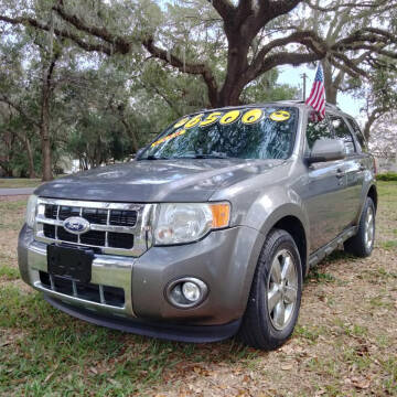 2010 Ford Escape for sale at AP Motors Auto Sales in Kissimmee FL