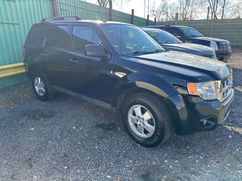 2009 Ford Escape XLT