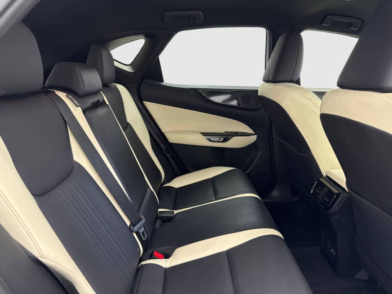 2024 Lexus NX 250
