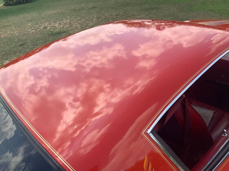 1979 Pontiac Firebird