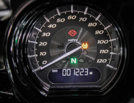 2021 Harley-Davidson CVO Road Glide