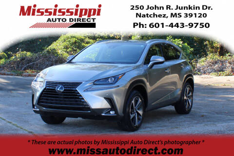 2020 Lexus NX 300 for sale at Auto Group South - Mississippi Auto Direct in Natchez MS