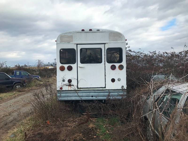 1987 International Blue Bird