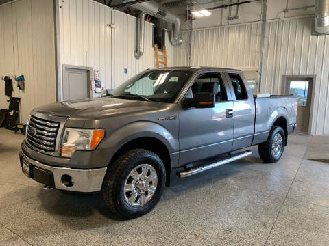 2012 Ford F-150 for sale at Efkamp Auto Sales LLC in Des Moines IA