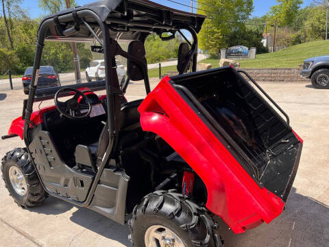 2013 Yamaha Rhino