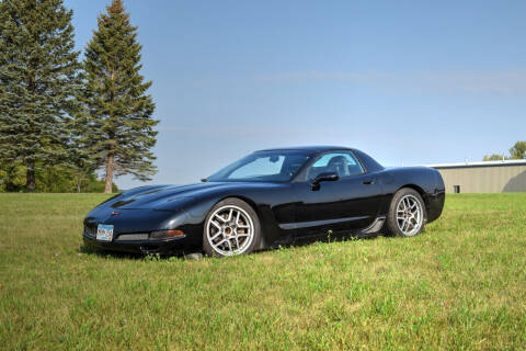 1999 Chevrolet Corvette for sale at Hooked On Classics in Watertown MN