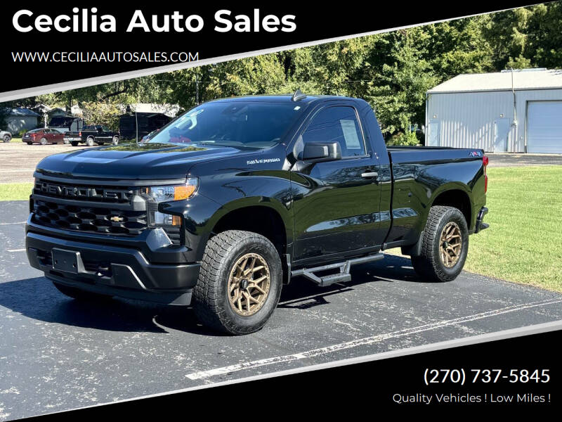 2024 Chevrolet Silverado 1500 Work Truck's photo