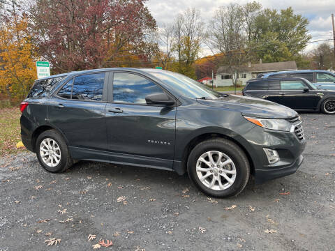 2020 Chevrolet Equinox for sale at Joshsav Motors in Walnutport PA