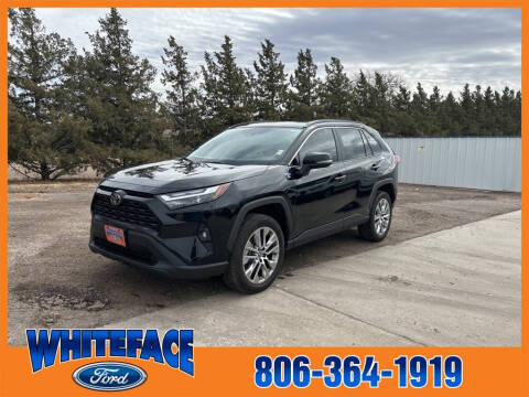 2022 Toyota RAV4 for sale at Whiteface Ford in Hereford TX