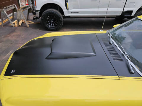 1969 Ford Mustang Boss 302