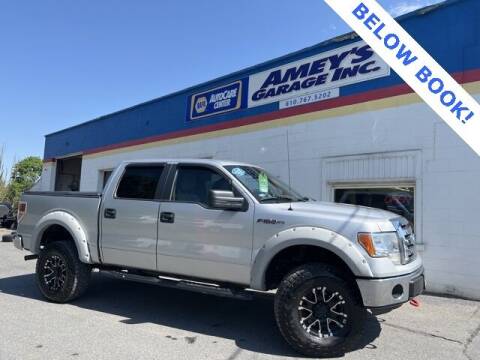 2012 Ford F-150 for sale at Amey's Garage Inc in Cherryville PA