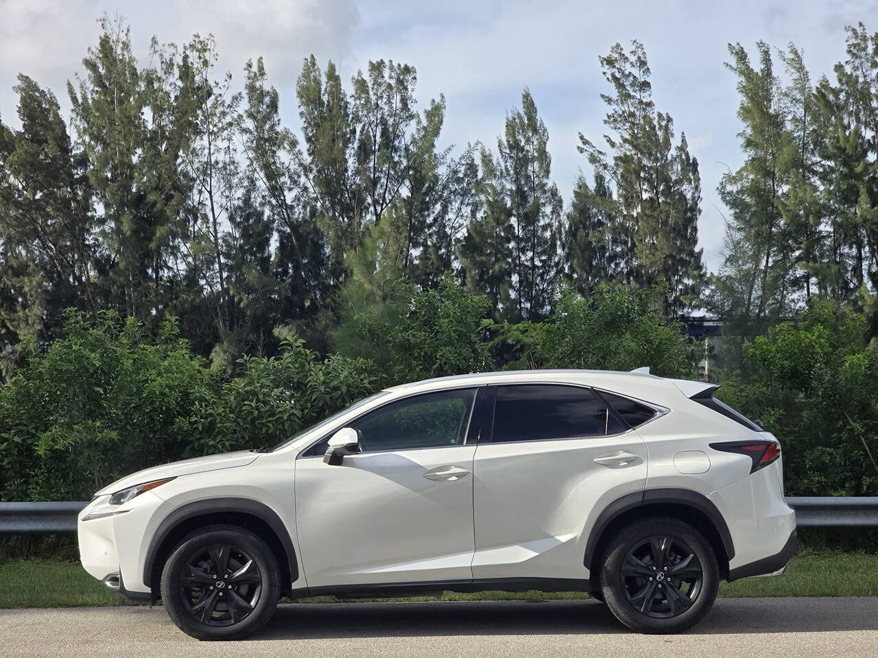 2017 Lexus NX 200t for sale at All Will Drive Motors in Davie, FL