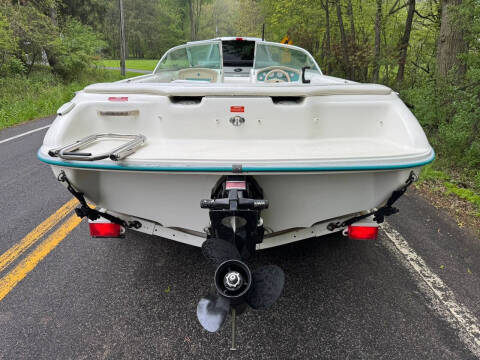 1995 Sea Ray 175