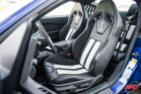 2013 Ford Shelby GT500