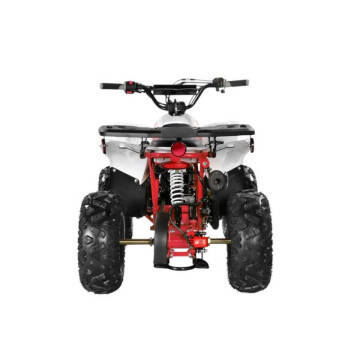 2025 Coolster 110cc 3050B2