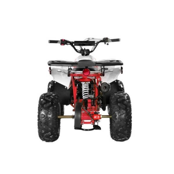 2025 Coolster 110cc 3050B2