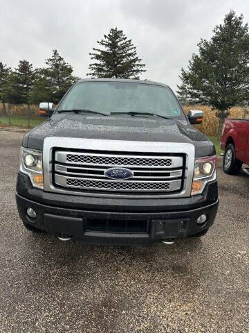2014 Ford F-150 for sale at Highway 16 Auto Sales in Ixonia WI