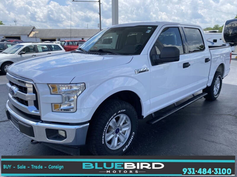 2017 Ford F-150 for sale at Blue Bird Motors in Crossville TN