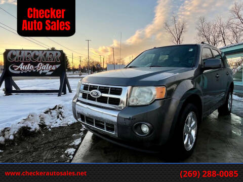 2010 Ford Escape for sale at Checker Auto Sales in Augusta MI