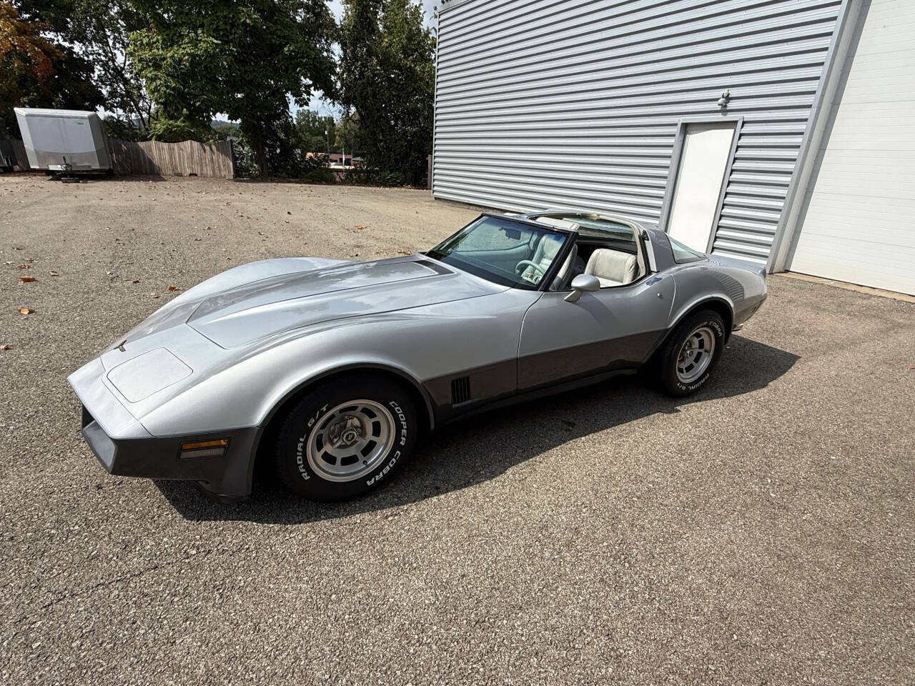 1981 Chevrolet Corvette 156