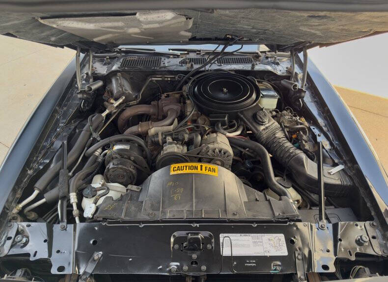 1981 Pontiac Firebird Trans Am