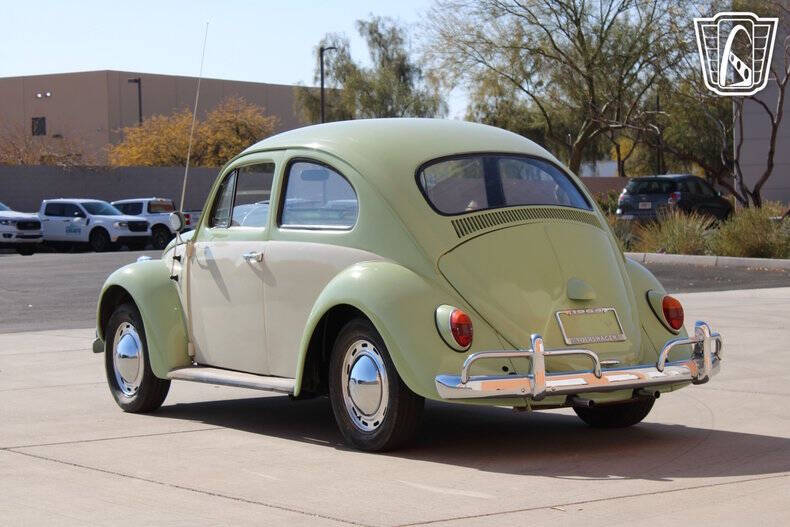 1964 Volkswagen Beetle