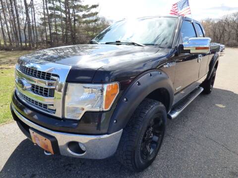 2013 Ford F-150 for sale at American Auto Sales in Forest Lake MN