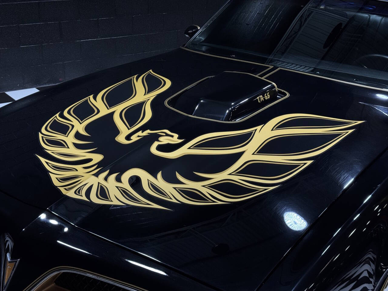 1978 Pontiac Firebird Trans Am 18