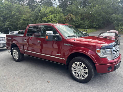 2013 Ford F-150 Platinum