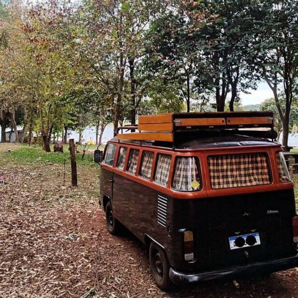 1979 Volkswagen Bus