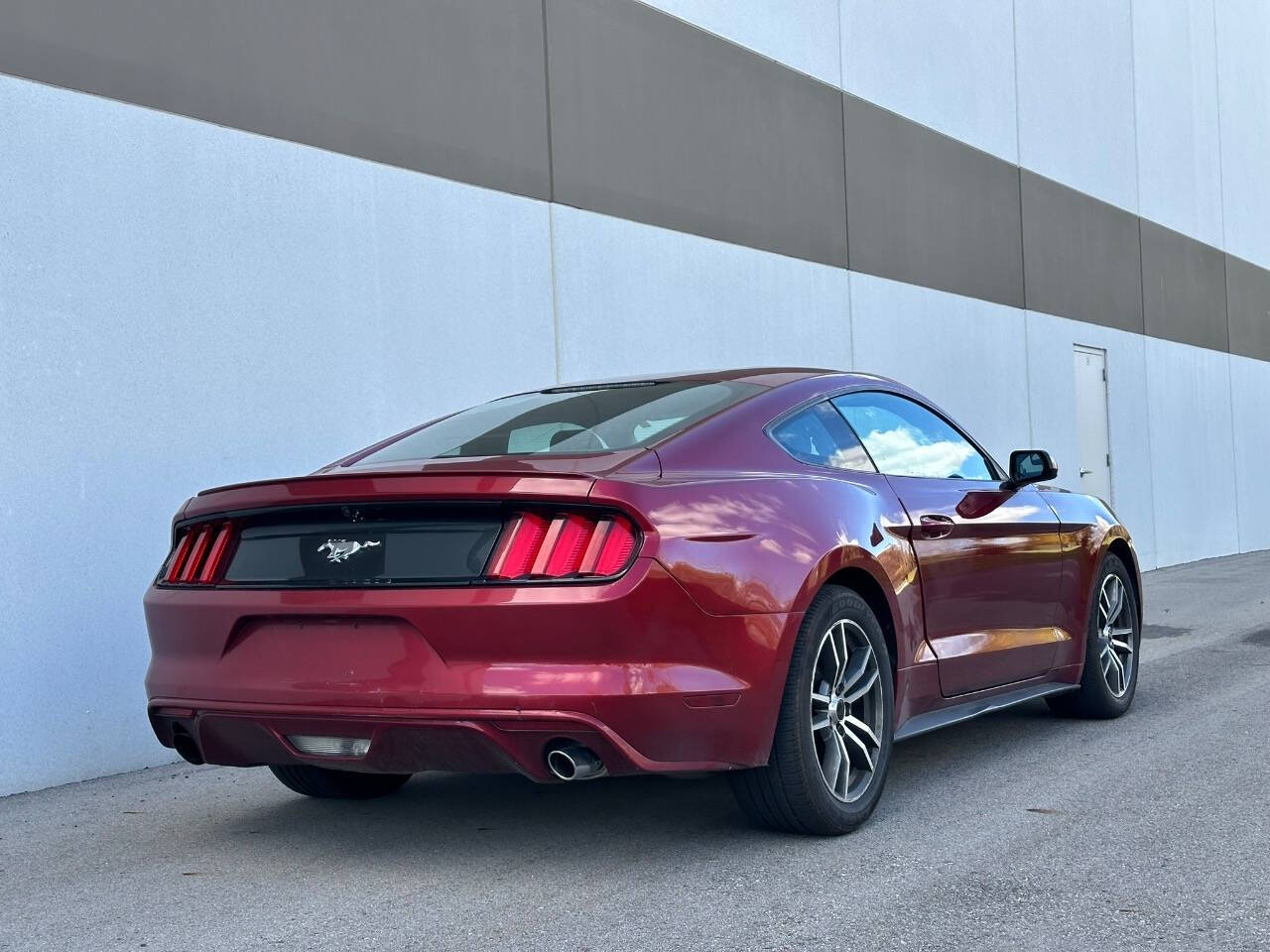 2016 Ford Mustang for sale at Phoenix Motor Co in Romulus, MI