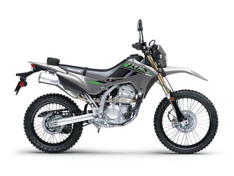 Kawasaki KLX 300 Image