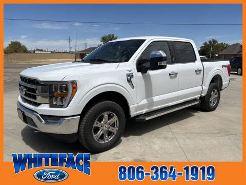 2023 Ford F-150 for sale at Whiteface Ford in Hereford TX