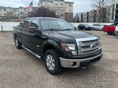 2014 Ford F-150 for sale at Metro Motor Sales in Minneapolis MN